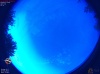 20:34:16 (*171)