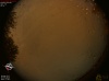 00:42:19 (*40)