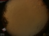 00:55:37 (*66)