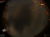 03:03:12 (*78)