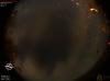 03:03:59 (*77)