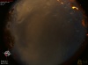 03:29:50 (*40)