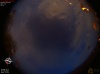 04:01:57 (*52)