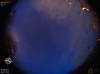 04:12:09 (*172)