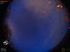 04:12:56 (*212)