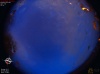 04:16:51 (*293)
