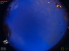 04:19:59 (*372)