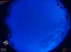 04:39:09 (*239)