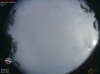 07:31:46