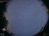 19:38:16