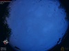 19:54:41