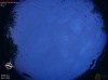 19:57:01