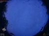 20:00:09