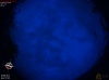 20:36:47 (*601)