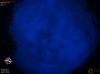 20:37:34 (*488)