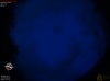 20:41:28 (*446)