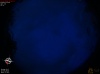 20:42:15 (*788)