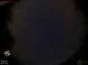 21:00:05 (*173)