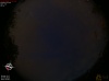 21:01:38 (*145)