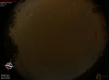 21:15:39 (*61)