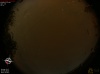 21:16:25 (*48)