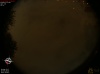 21:58:36 (*59)