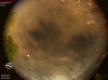 22:27:15 (*113)