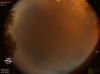 00:48:18 (*34)