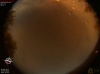 01:52:35 (*45)
