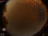 02:04:20 (*29)