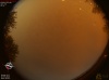 02:19:13 (*11)