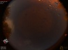 02:44:18 (*110)
