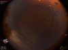 03:07:48 (*119)