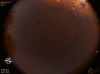 03:24:16 (*85)