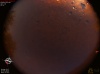 03:39:10 (*111)