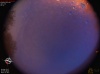 04:05:48 (*93)