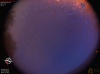 04:06:35 (*133)