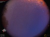 04:07:22 (*240)