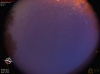 04:08:10 (*231)