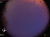 04:08:56 (*203)