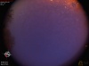 04:11:17 (*110)