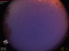 04:12:51 (*122)