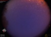 04:13:38 (*116)