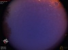 04:14:25 (*164)