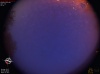 04:15:12 (*242)