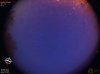 04:15:59 (*324)
