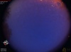04:16:46 (*415)