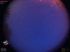 04:17:33 (*384)