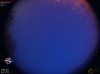 04:19:54 (*757)