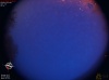 04:20:41 (*834)